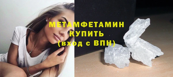 индика Нягань