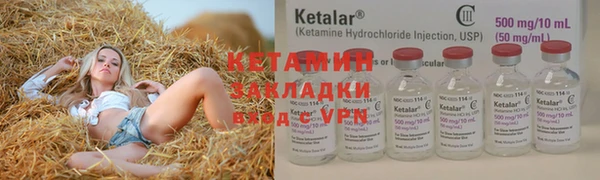 индика Новодвинск