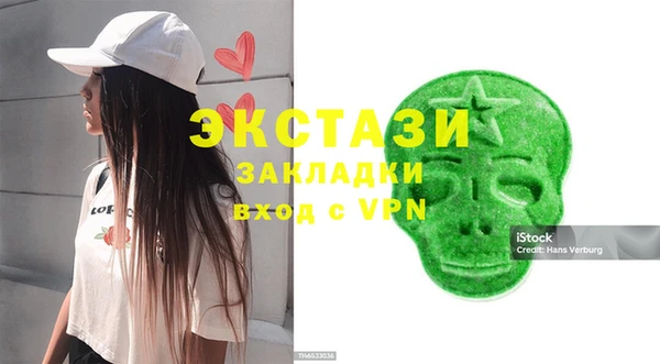 индика Новодвинск