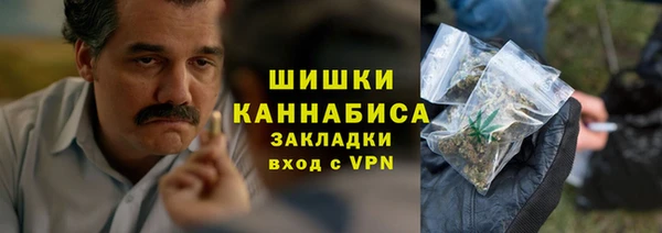 индика Новодвинск