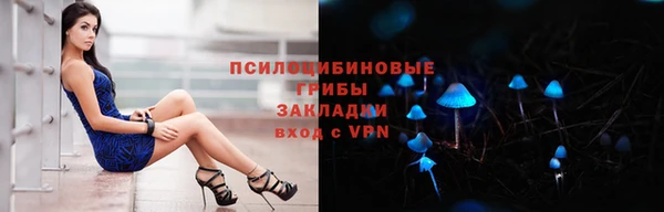 индика Новодвинск