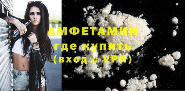 индика Новодвинск