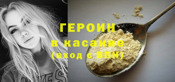 индика Нягань