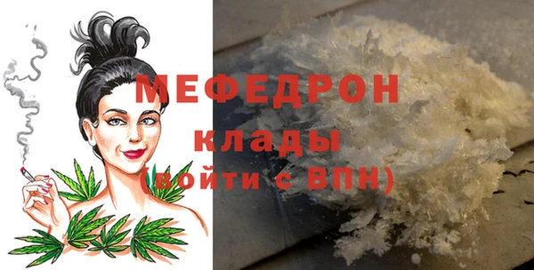 индика Нягань