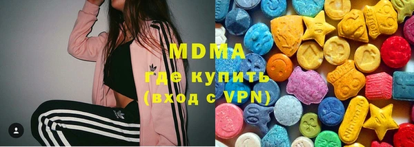 индика Новодвинск