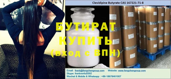 индика Новодвинск