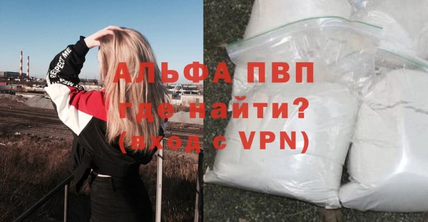 индика Нягань