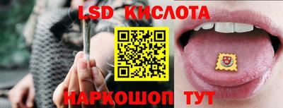 индика Кандалакша