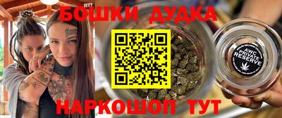индика Кандалакша