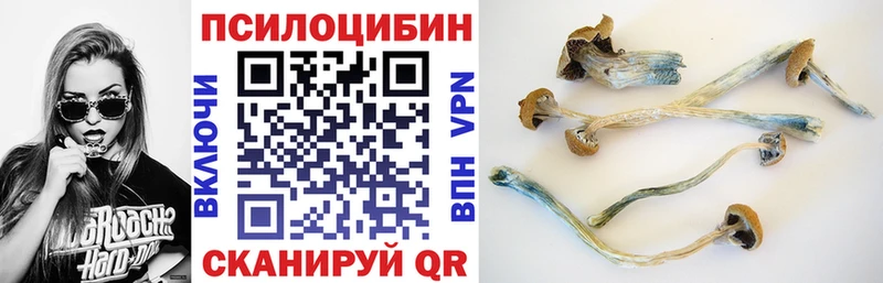 Галлюциногенные грибы MAGIC MUSHROOMS Полысаево