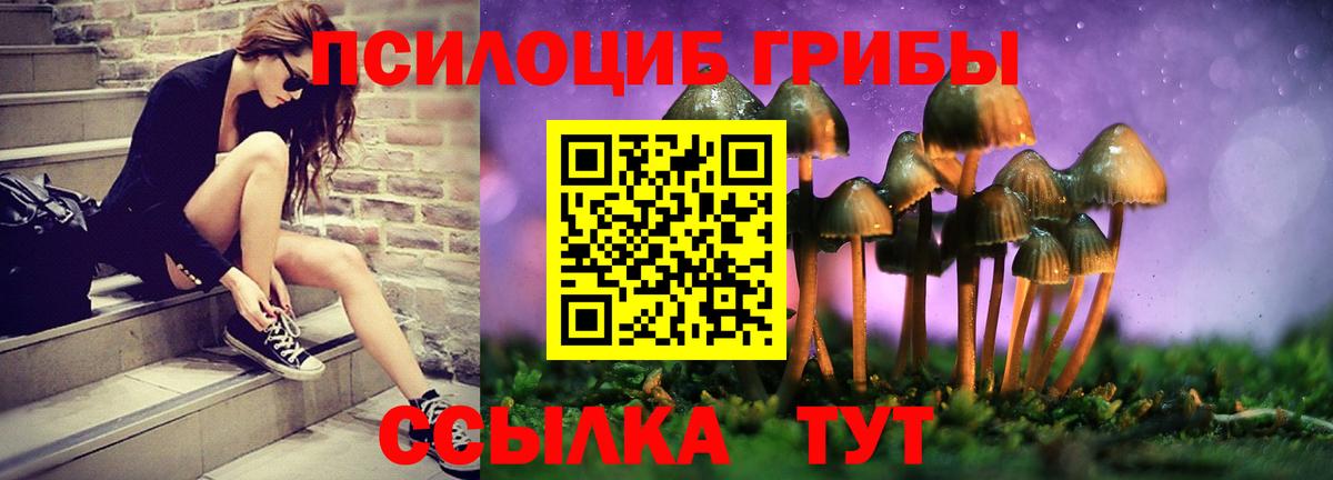 Галлюциногенные грибы MAGIC MUSHROOMS  Полысаево 